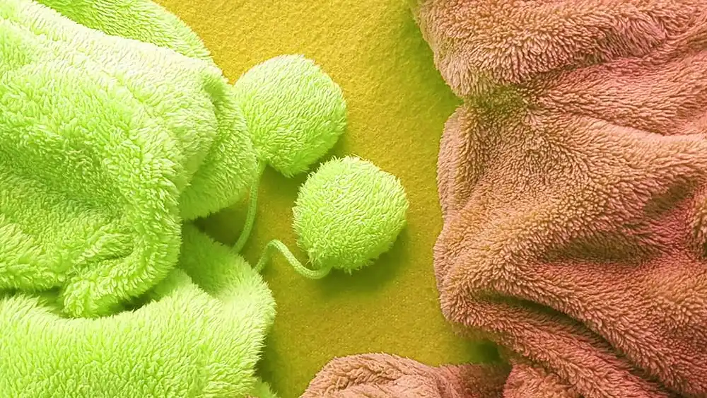 Properties of Fleece Fabrics