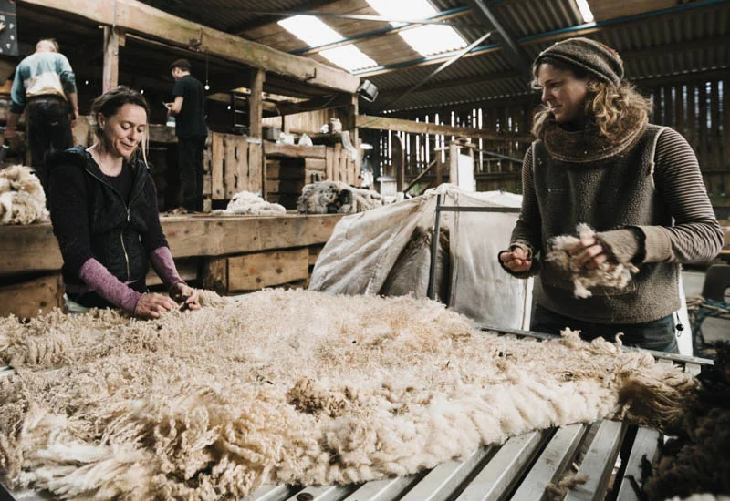 how is wool processed into fabric 4