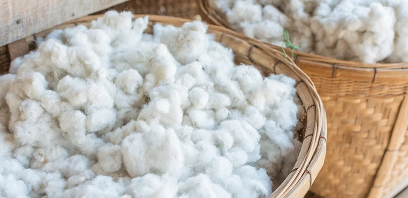 What Is Brushed Cotton Fabric Made Of