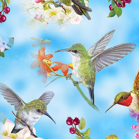 hummingbird quilting fabric