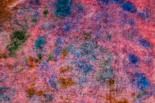 Spray Dyeing for Upholstery and Large Surfaces