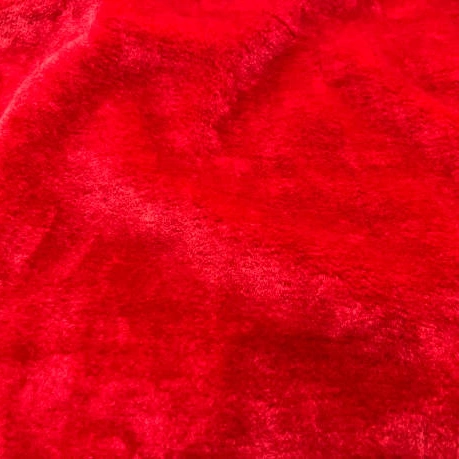 Red Teddy Velvet Fabric