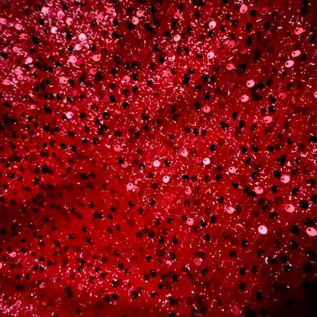 Red and Black Sequin Fabric