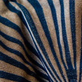 Velvet Blue Zebra Fabric